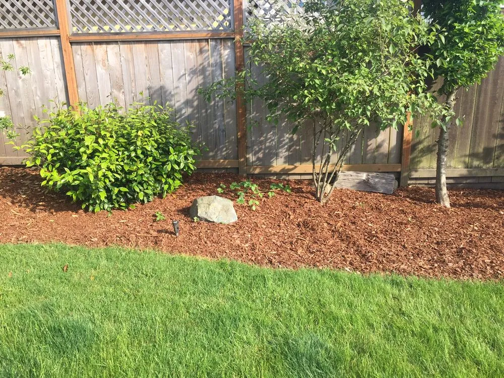 Expert lawn mowing service for outdoor upgrades across Des Moines, WA - Guardian Landscape