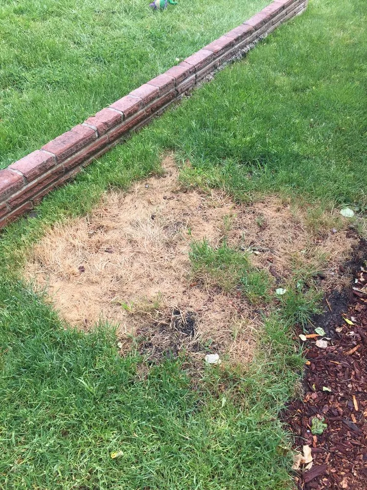 Reliable landscape design for residential properties across Des Moines, WA - Guardian Landscape