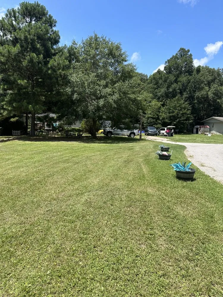 Custom yard maintenance experts serving Hilton Head Island, SC - Guardian Landscape