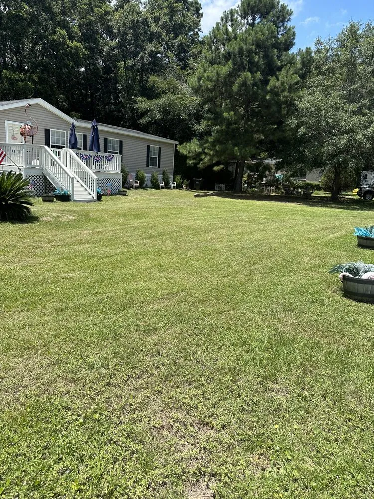 Professional residential landscaping for outdoor upgrades across Hilton Head Island, SC - Guardian Landscape