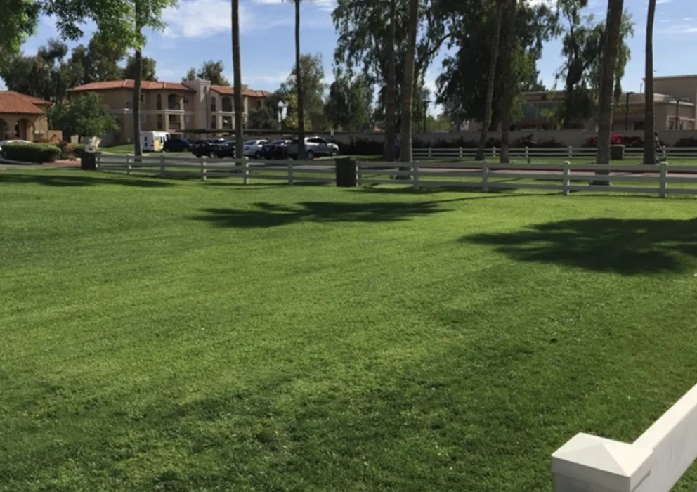 Expert yard maintenance in Prescott, AZ - Guardian Landscape