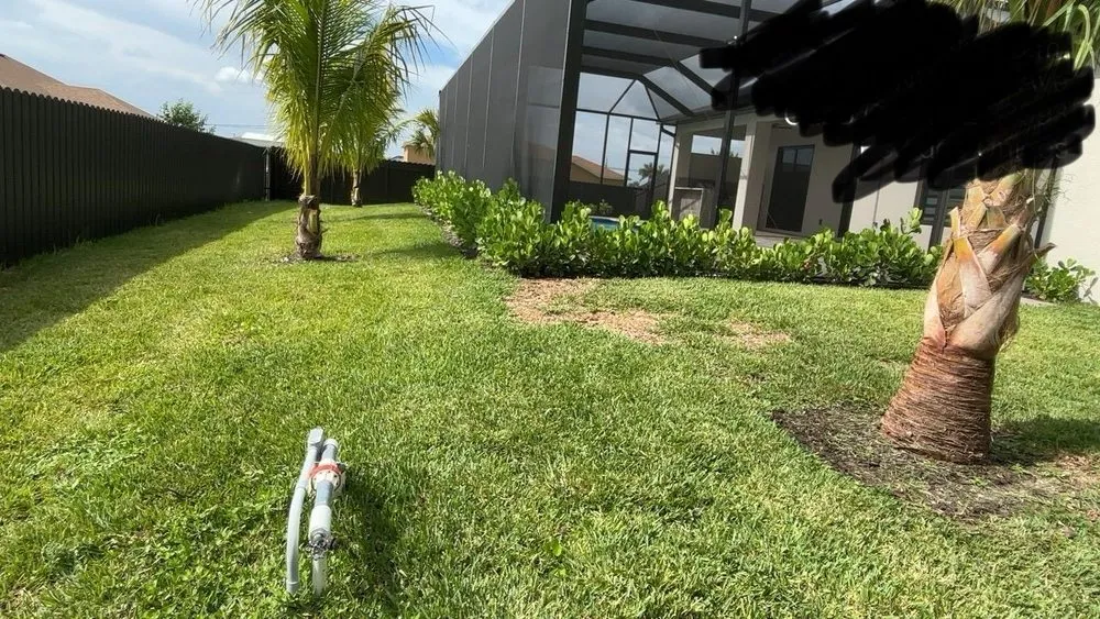 Top-rated residential landscaping for outdoor upgrades across Cape Coral, FL - Guardian Landscaping