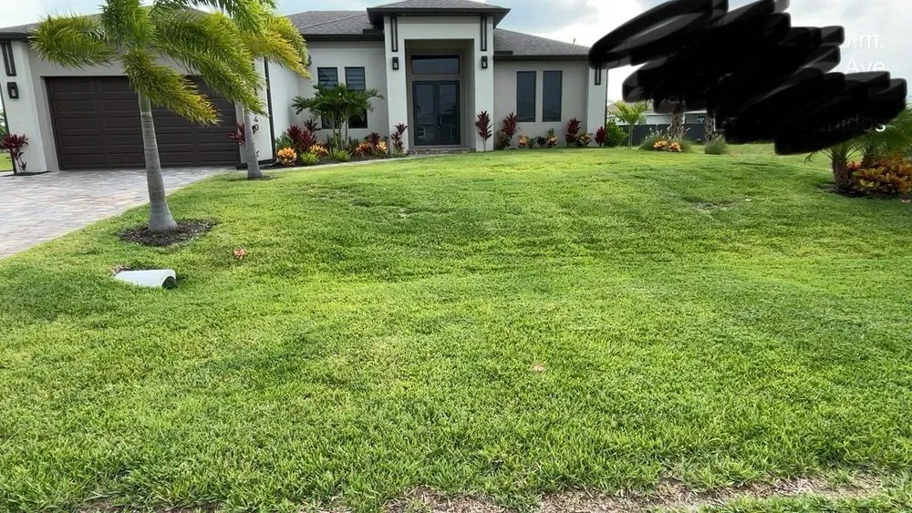 Top-rated yard maintenance in Cape Coral, FL - Guardian Landscaping