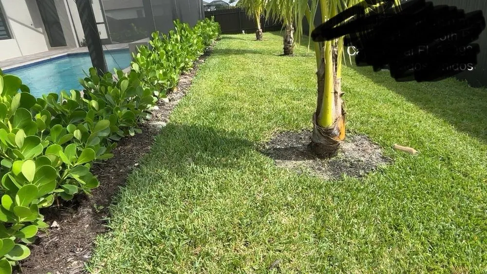 Local landscape installation in Cape Coral, FL by Guardian Landscaping