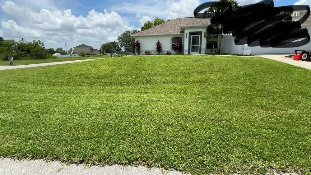Affordable yard maintenance for residential properties across Cape Coral, FL - Guardian Landscaping