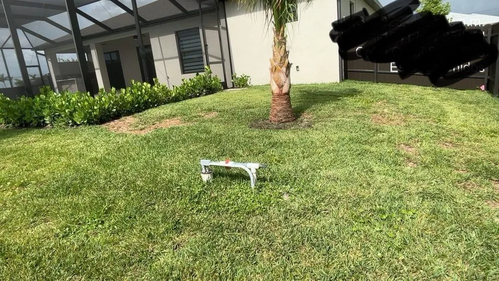 Reliable yard cleanup service in Cape Coral, FL - Guardian Landscaping