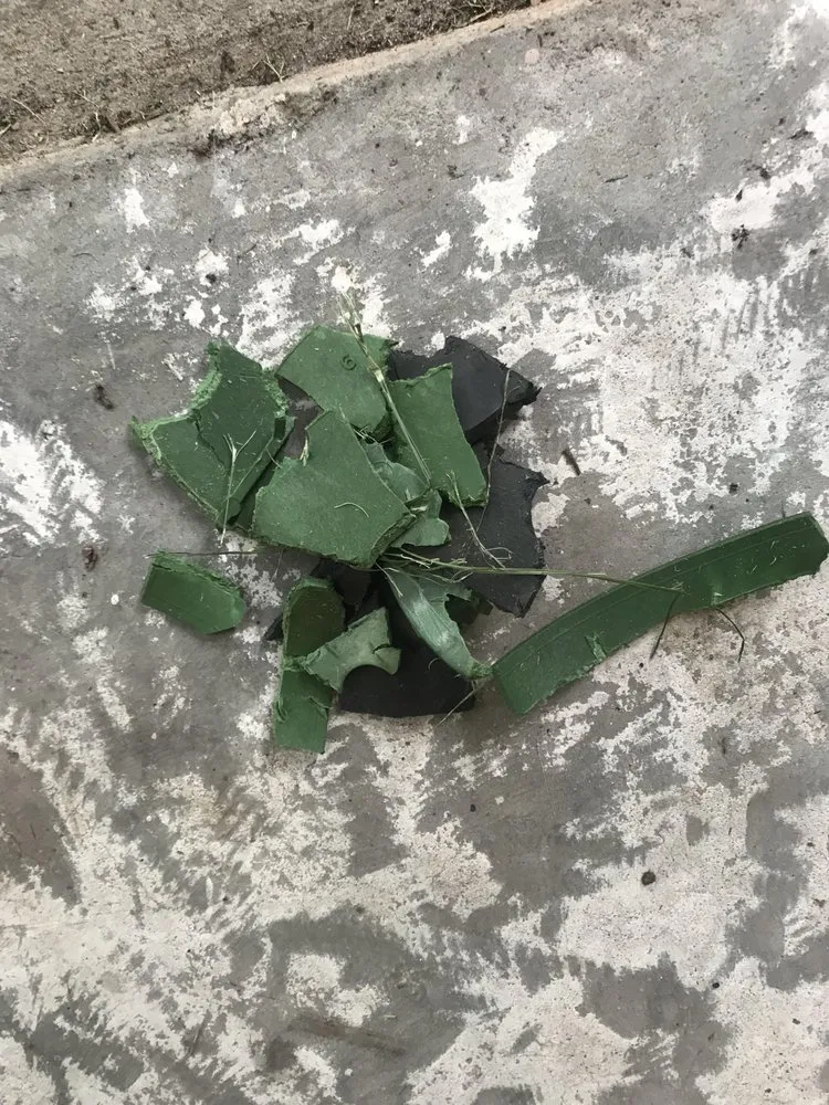 Professional lawn care service in Orlando, FL - Guardian Lawn & Landscape