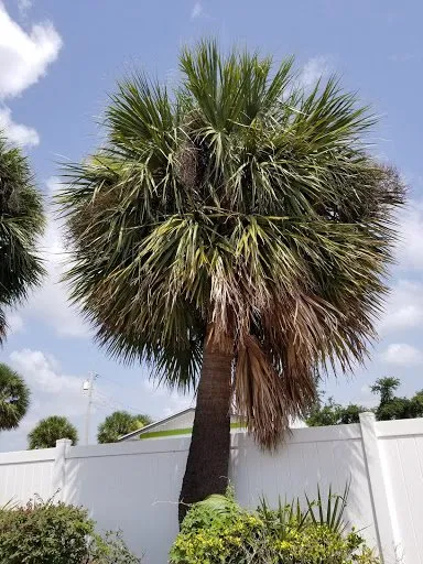 Affordable lawn care service experts serving Orlando, FL - Guardian Lawn & Landscape