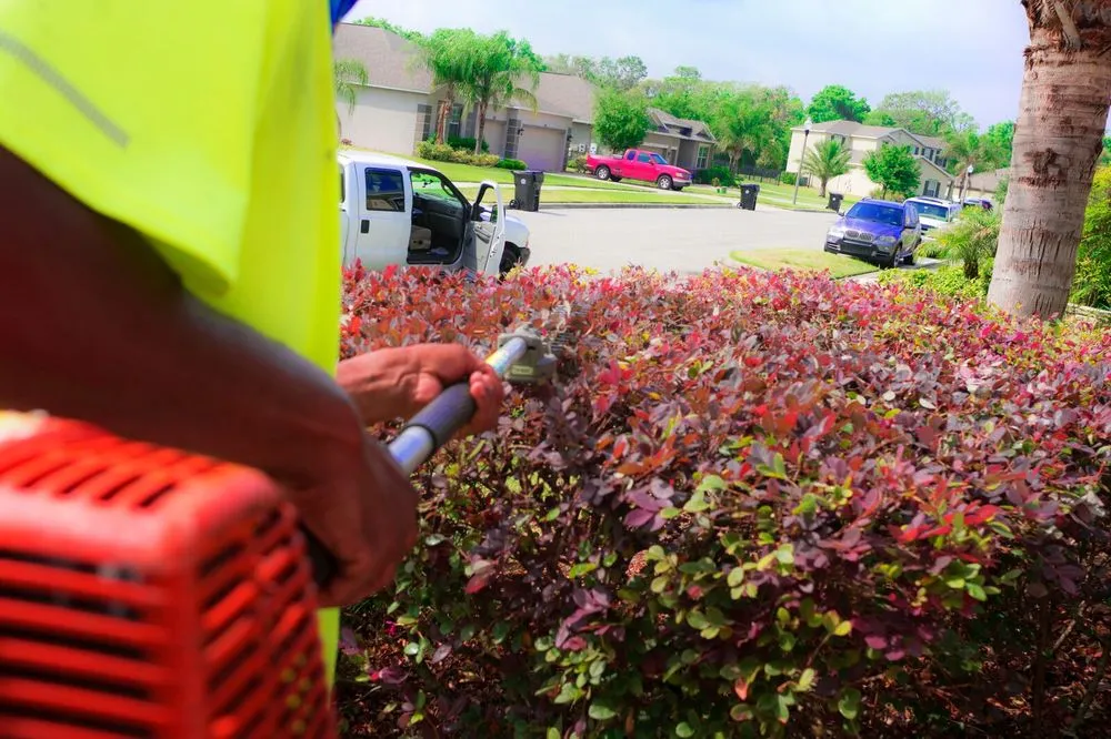 Local outdoor landscaping for year-round maintenance in Orlando, FL by Guardian Lawn & Landscape