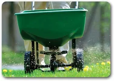 Expert yard maintenance experts serving Orlando, FL - Guardian Lawn & Landscape