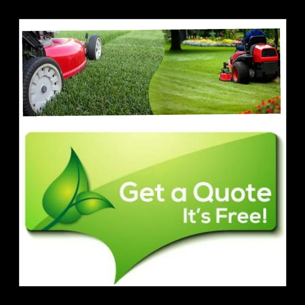 Local yard cleanup service in Orlando, FL by Guardian Lawn & Landscape