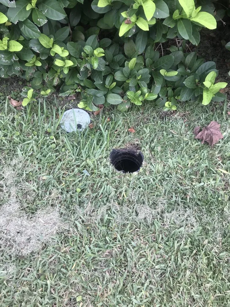 Custom landscaping services experts serving Orlando, FL - Guardian Lawn & Landscape