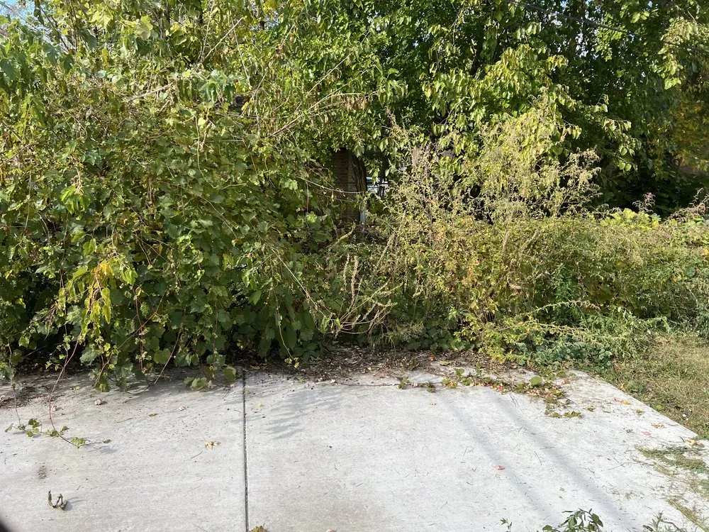 Affordable yard cleanup service in Lansing, IL by Guardian Of The Grass