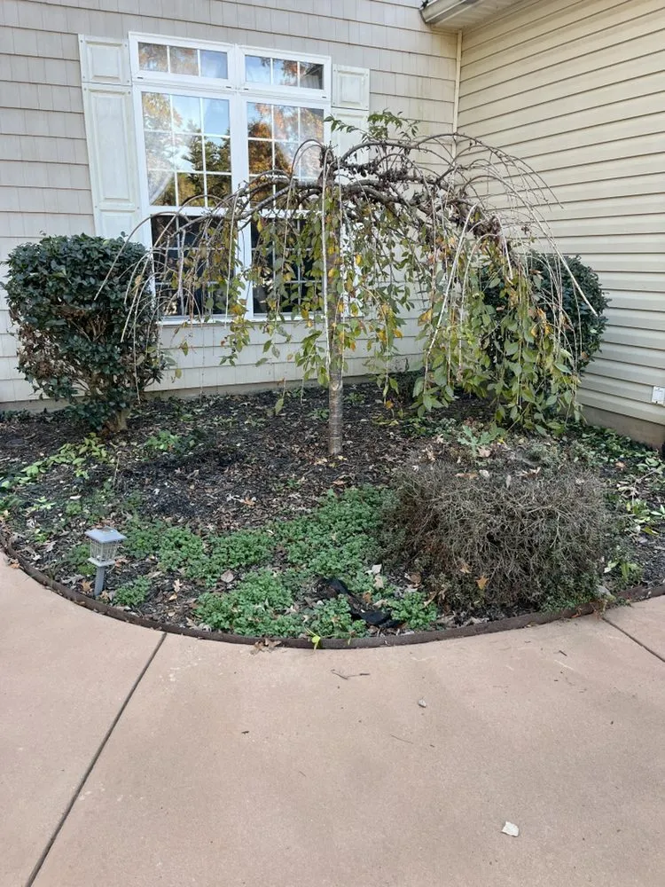 Trusted landscape installation near you across Greenville, SC - Guardian Services