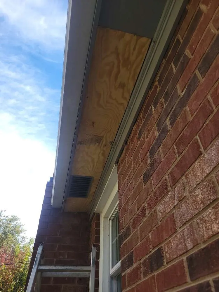 Expert yard cleanup service experts serving Greenville, SC - Guardian Services