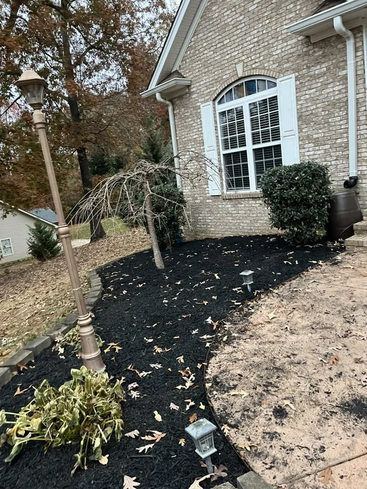 Trusted outdoor landscaping experts serving Greenville, SC - Guardian Services