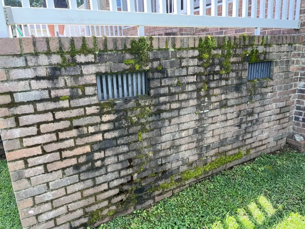 Trusted landscape installation near you across Greenville, SC - Guardian Services