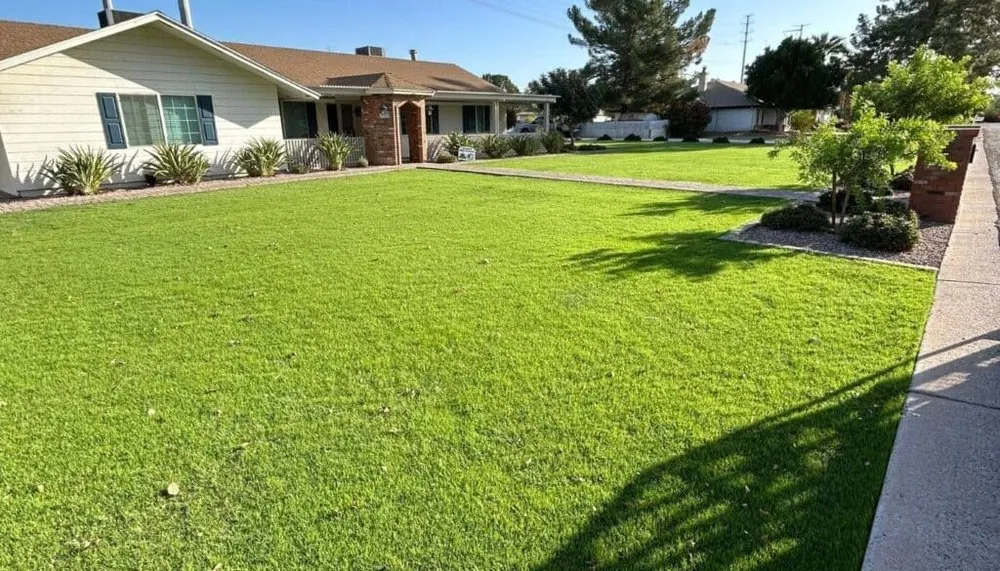 Professional garden landscaping for beautiful yards across Thomaston, GA - Guardian's Lawn Care