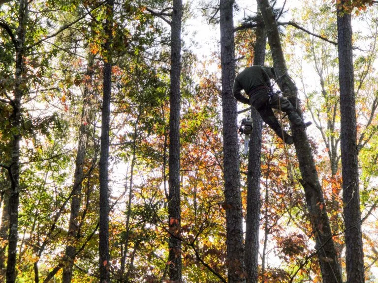 Expert residential landscaping experts serving Carneys Point, NJ - Guardians Property Management