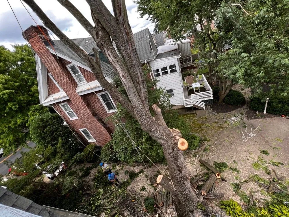 Expert landscaping services in Carneys Point, NJ - Guardians Property Management