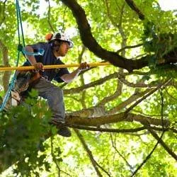 Reliable outdoor landscaping experts serving Carneys Point, NJ - Guardians Property Management