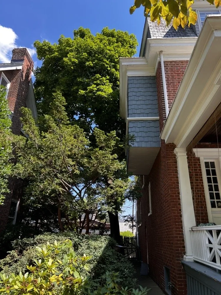 Professional yard maintenance experts serving Carneys Point, NJ - Guardians Property Management