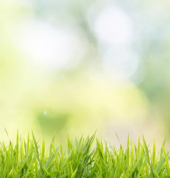 Local residential landscaping in Middleton, MA - Guarino Landscape