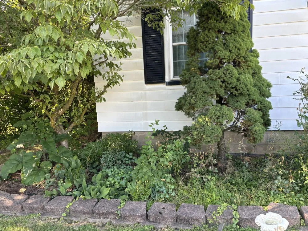 Local lawn mowing service in Girard, OH by Guarino’s Green