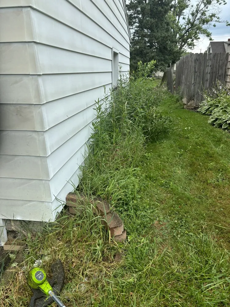 Expert landscape design with custom design across Girard, OH - Guarino’s Green