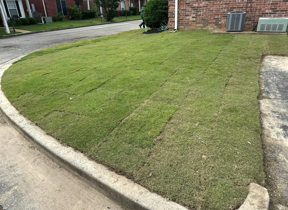 Top-rated yard maintenance for year-round maintenance in Memphis, TN by Guarneros Landscape
