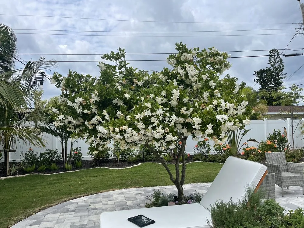 Expert landscape design experts serving Melbourne, FL - Guccione Architectural Landscape Designs