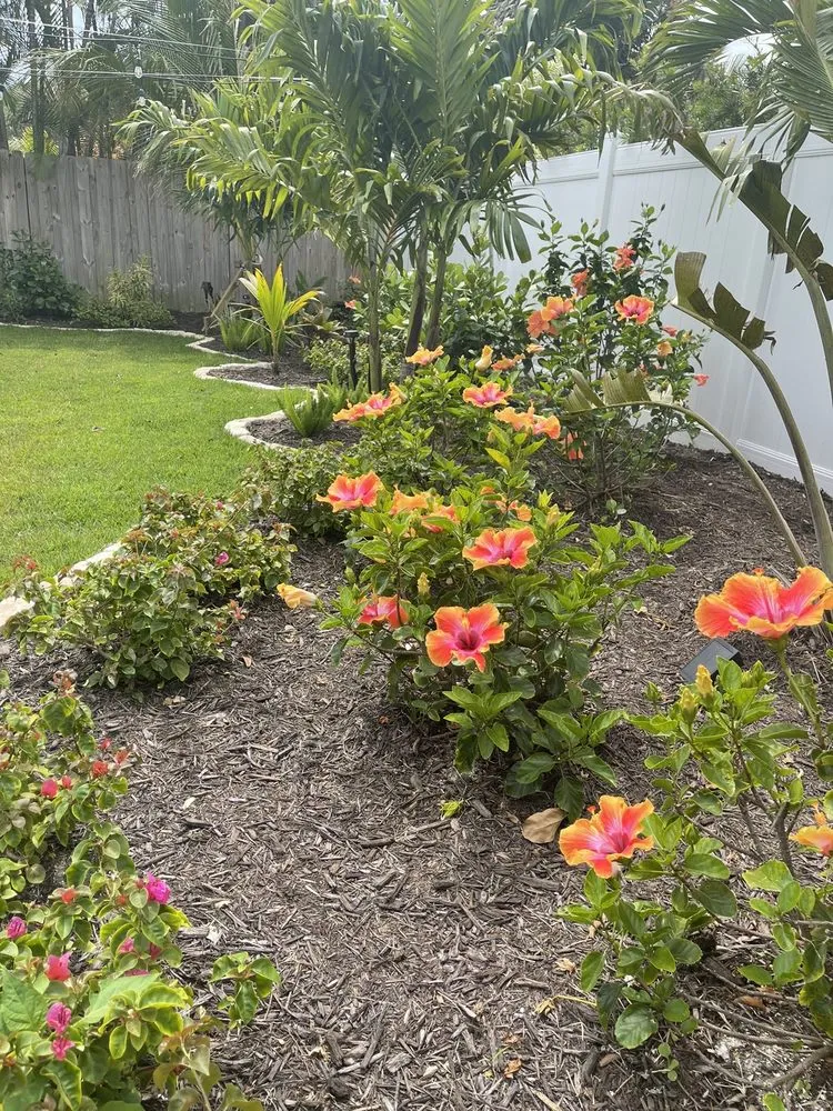 Trusted lawn care service for homes across Melbourne, FL - Guccione Architectural Landscape Designs