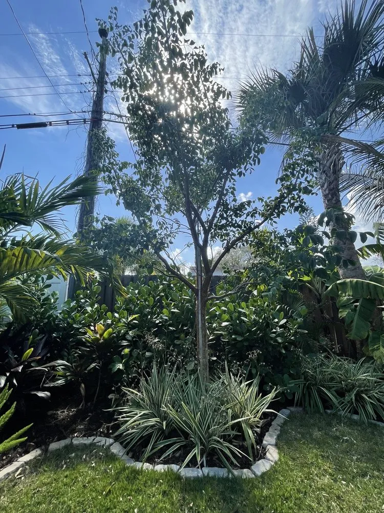 Affordable lawn mowing service in Melbourne, FL - Guccione Architectural Landscape Designs