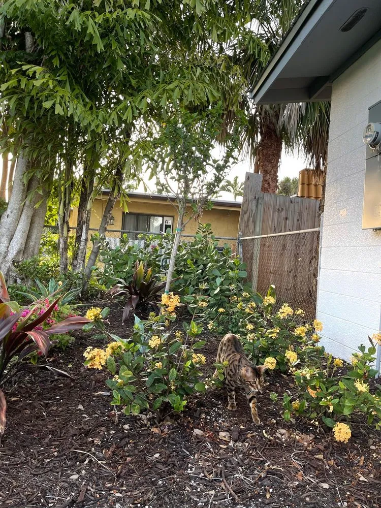 Affordable garden landscaping experts serving Melbourne, FL - Guccione Architectural Landscape Designs