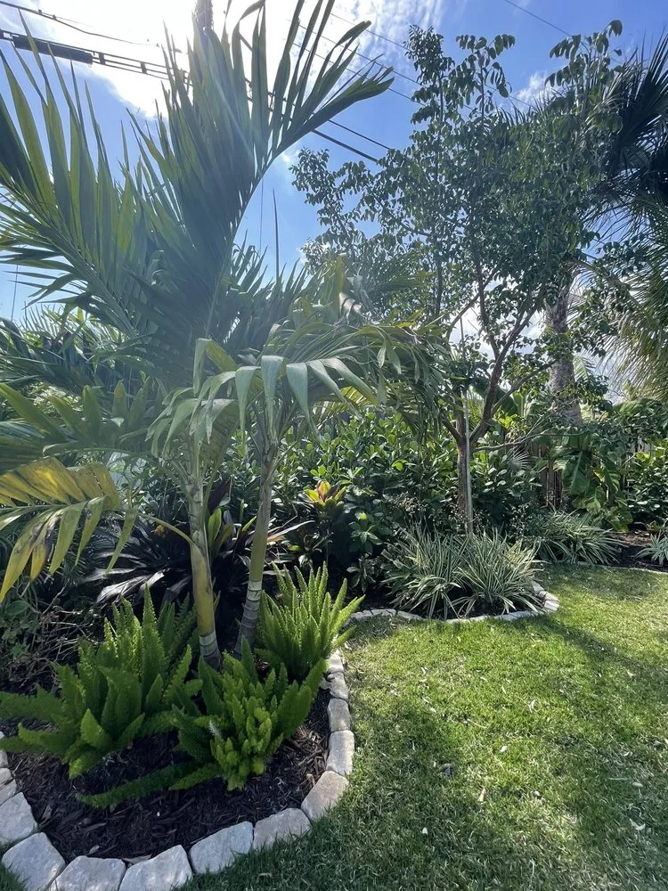 Trusted lawn care service for residential properties across Melbourne, FL - Guccione Architectural Landscape Designs