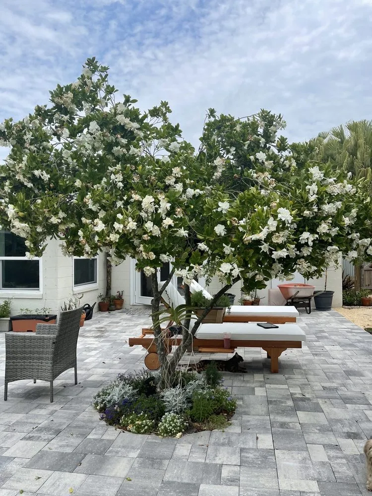 Custom garden landscaping experts serving Melbourne, FL - Guccione Architectural Landscape Designs