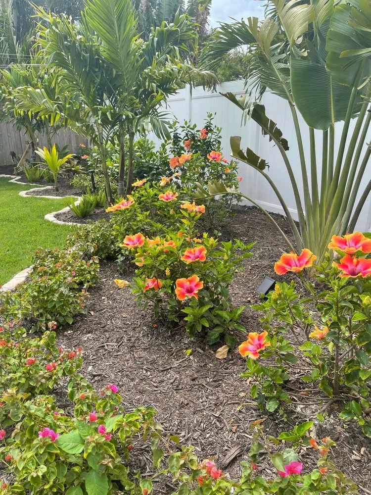 Top-rated landscape design experts serving Melbourne, FL - Guccione Architectural Landscape Designs