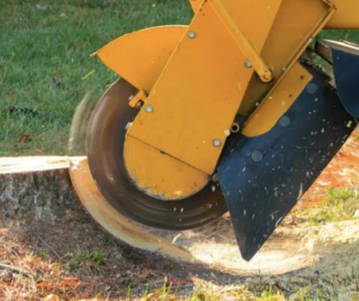 Expert landscape design in Fond du Lac, WI by Guell Stump Grinding