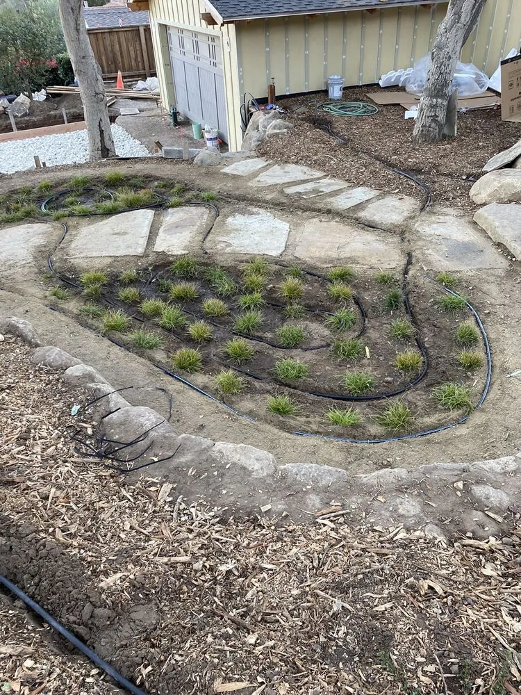 Trusted yard cleanup service in Santa Barbara, CA - GuemerosM Mantenimiento De Jardin Y Yarda