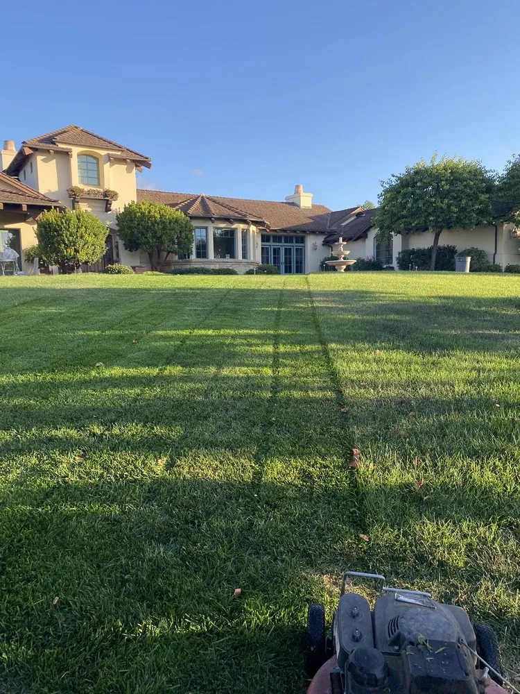 Expert landscape installation in Santa Barbara, CA by GuemerosM Mantenimiento De Jardin Y Yarda