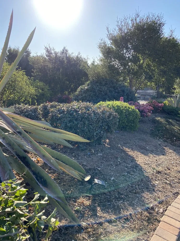 Custom yard maintenance experts serving Santa Barbara, CA - GuemerosM Mantenimiento De Jardin Y Yarda