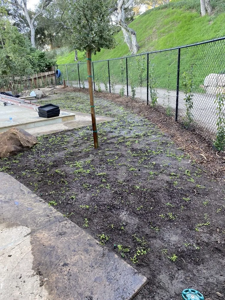 Trusted yard cleanup service for beautiful yards across Santa Barbara, CA - GuemerosM Mantenimiento De Jardin Y Yarda