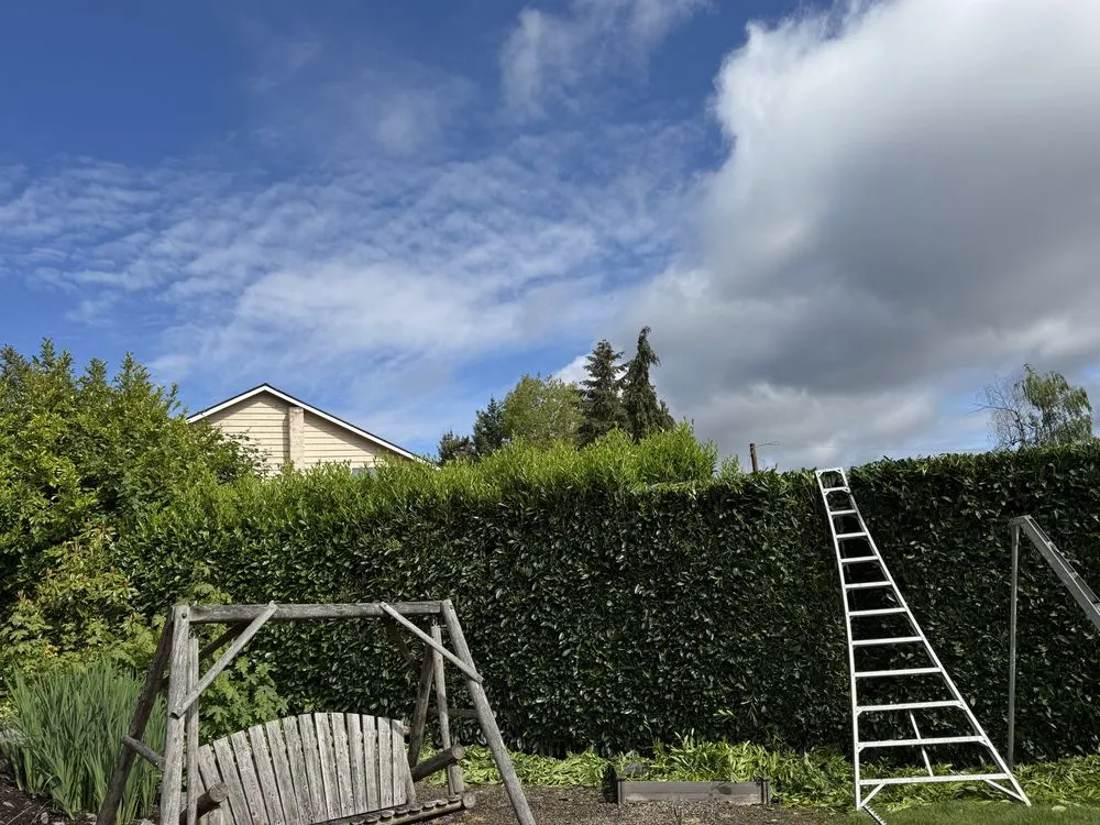 Expert lawn mowing service near you in Beaverton, OR by Guero Nambo Landscaping