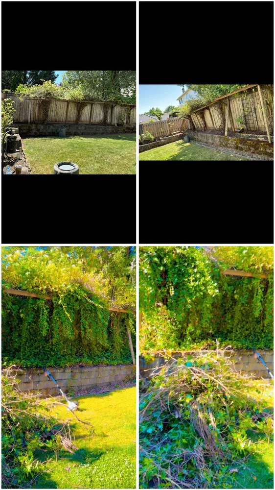 Custom lawn mowing service in Beaverton, OR - Guero Nambo Landscaping