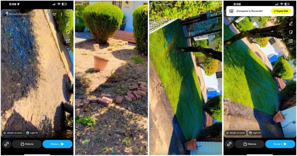Expert yard cleanup service for year-round maintenance in Beaverton, OR by Guero Nambo Landscaping