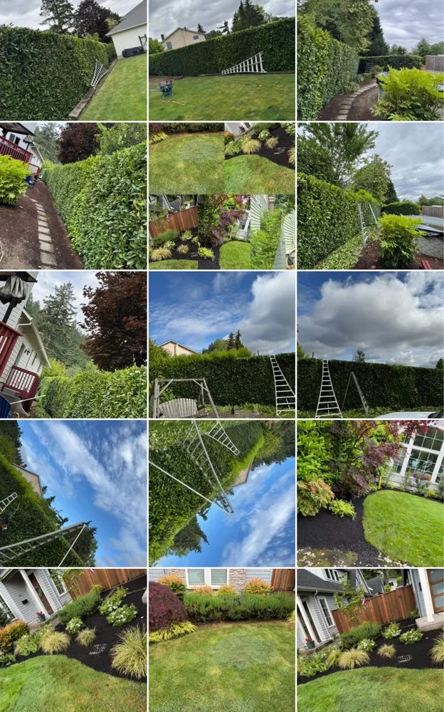 Affordable yard maintenance in Beaverton, OR by Guero Nambo Landscaping