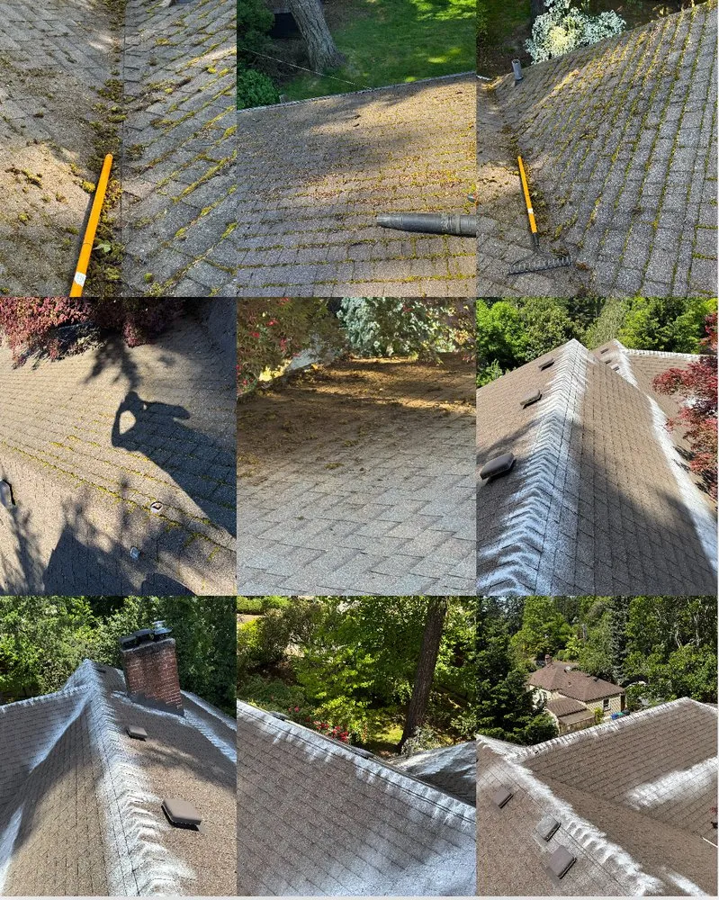 Custom landscape installation experts serving Beaverton, OR - Guero Nambo Landscaping