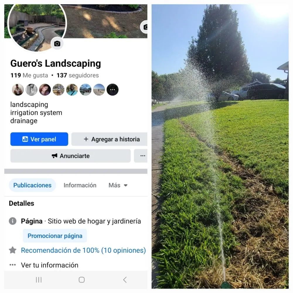 Trusted yard cleanup service in Irving, TX by Gueros Landscaping