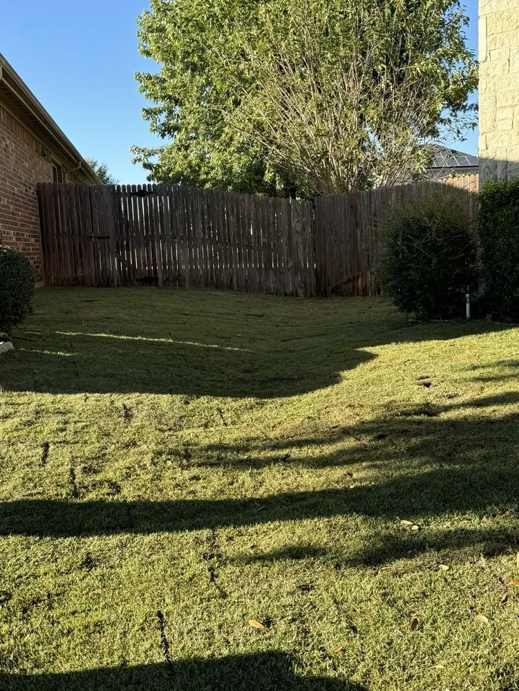Professional yard cleanup service experts serving Irving, TX - Gueros Landscaping