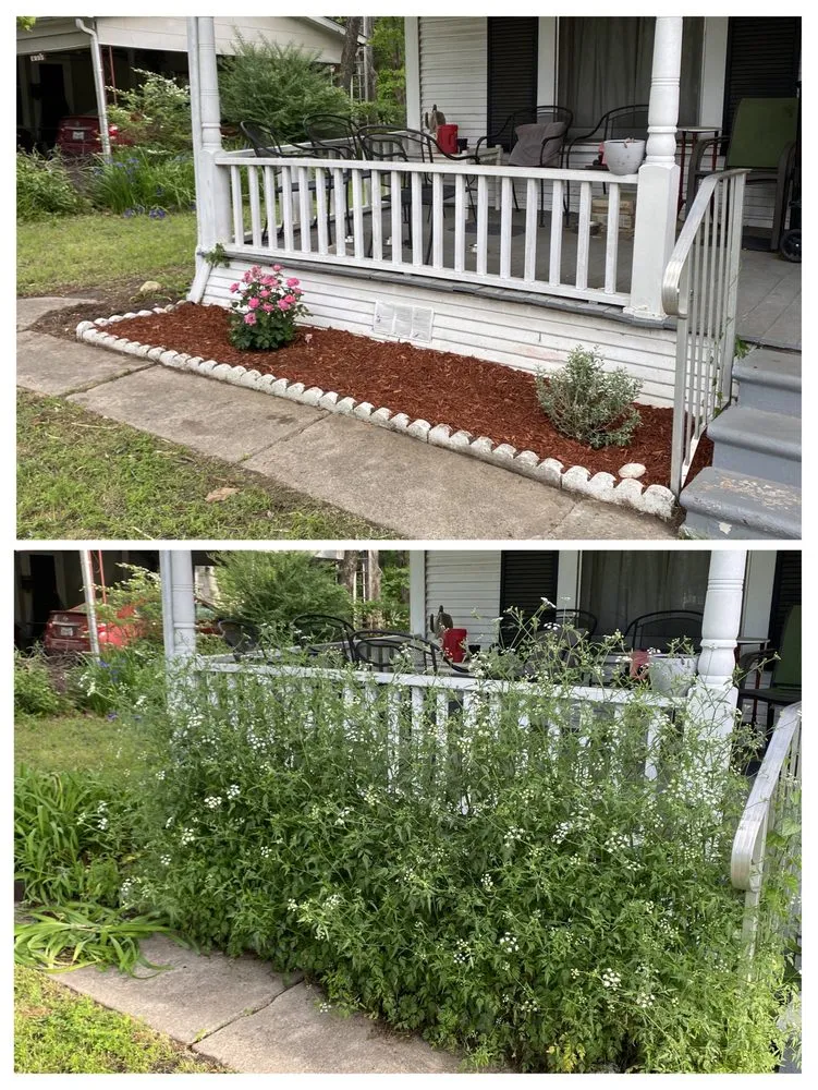 Local landscape design in Ladonia, TX - Guero’s Lawn Care